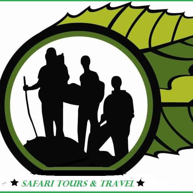 Safari Travel & Tours
