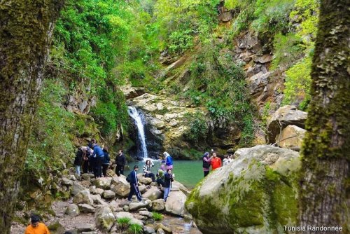 🏖 Excursion Ain Drahem, Beni Mtir et Tabarka