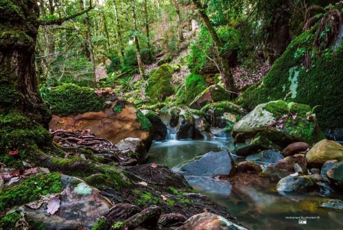 🏡 Randonnée à Oued ezzen