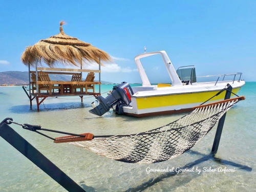 Safari Travel & Tours