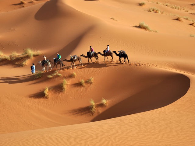 🐪Circuit sud tunisien 🌵 Vacance Décembre et Festival de Douz  Venez découvrir la magie du Sud Tunisien ☀🌴🐫  🏜️