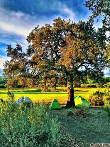 #Camping by Adventures Travel ❤️    Date :8/9 Février 2020 ️❤️ Camping Ain Drahem  Prix:45d ➡️Les frais incluent ⤵️ Le Transport aller/ retour Petit Déjeuner فطور عربي  (زيت زيتونة _طبونة _ عظم _ زبدة _ معجون _ قهوة _